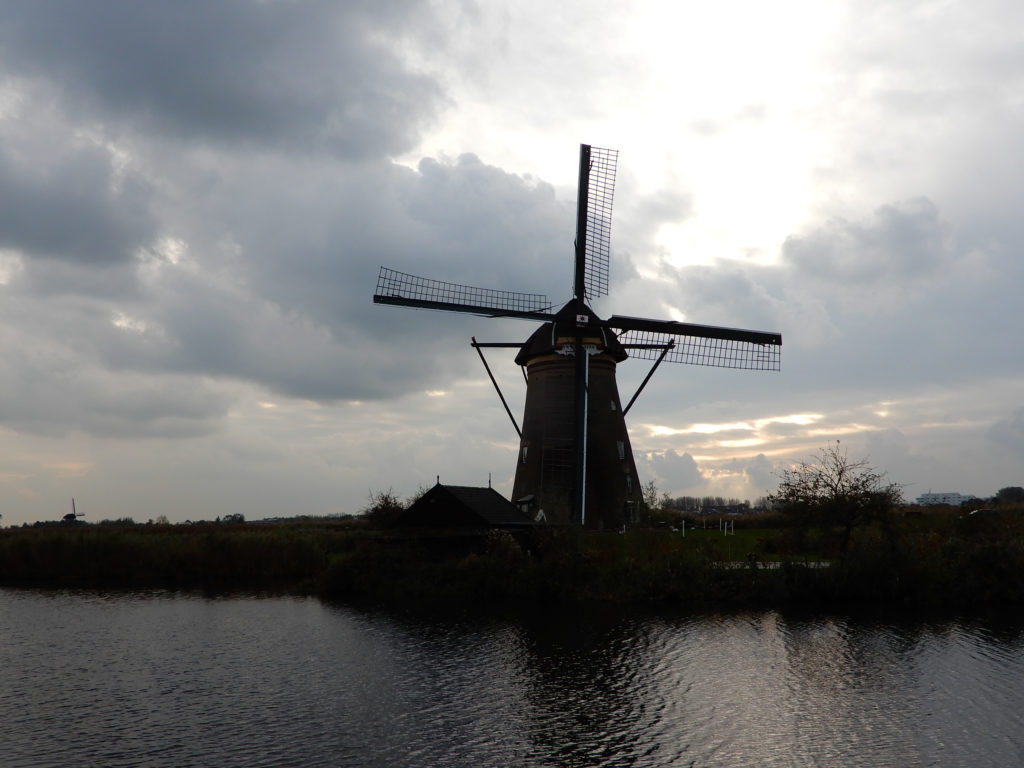 Rhine River Cruise Kinderdijk Windmill