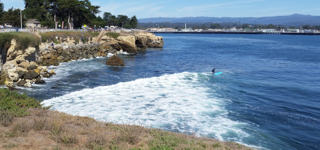Lone Surfer Steamers Lane Santa Cruz