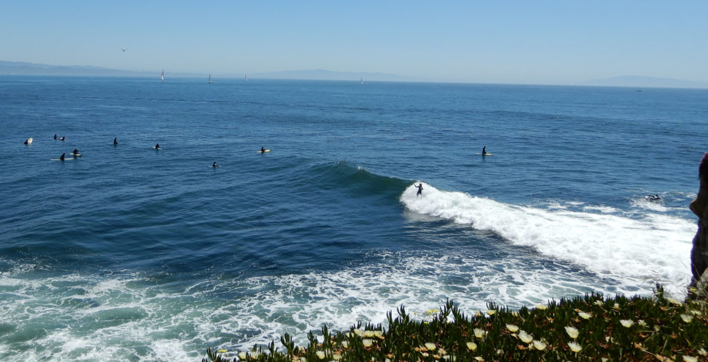 Surfers at Steamers Lane