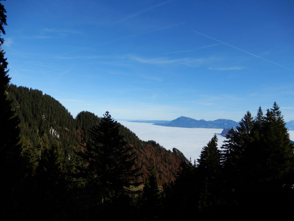 Mt. Pliatus Luzern Switzerland Above the fog