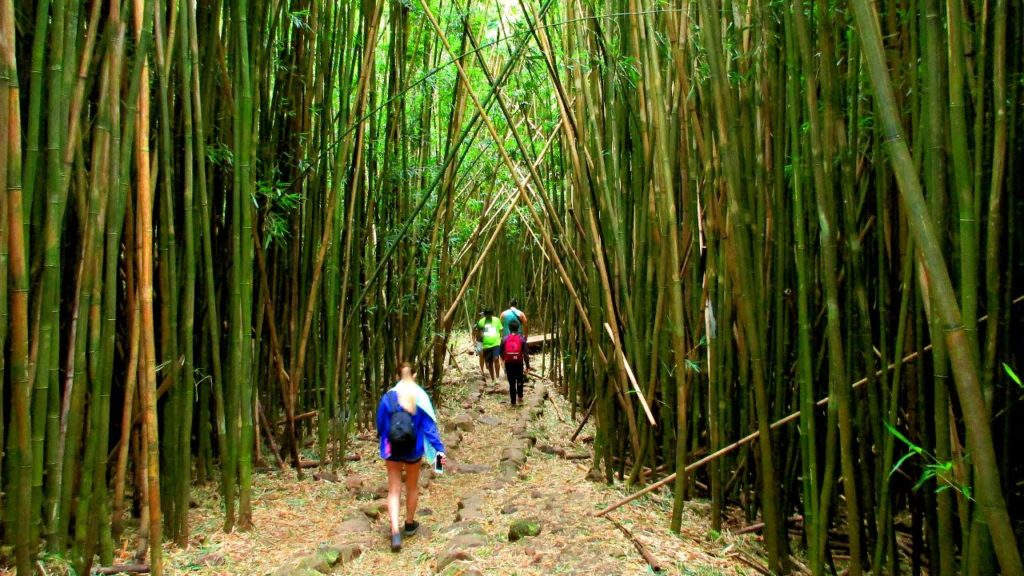 MAUI - EXPERIENCE PARADISE LIKE A LOCAL - Passage For Two