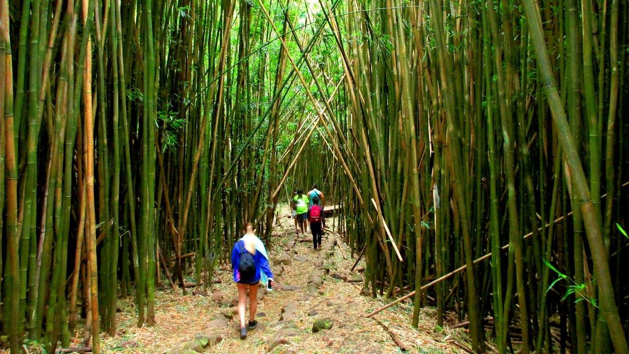 Pipiwai Trail Maui Hawaii