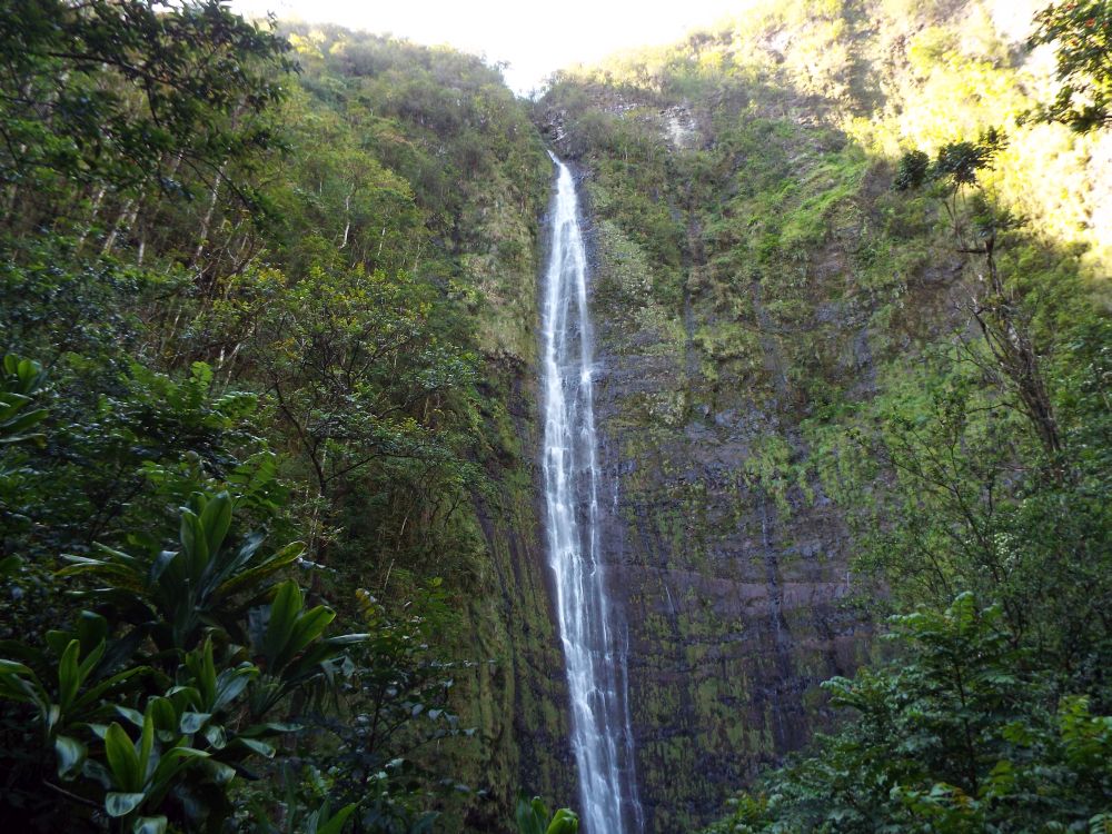 Waimoku Falls Hana Maui Hawaii