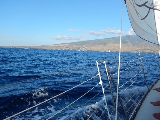 maui hawaii scotch mist sailing whale watching